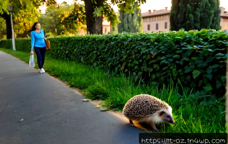Home 9 도시 생물다양성을 위한 방생 프로그램 - Photorealistic wildlife rehabilitation release in a lush public park in Bologna, Italy, an Italian c...